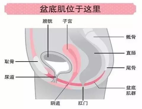 【科普知识】为什么要做产后康复？最全的答案在这里