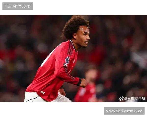 埃弗顿寻求前锋引援目标锁定托尼与齐尔克泽阿尔特塔坚决不放热苏斯