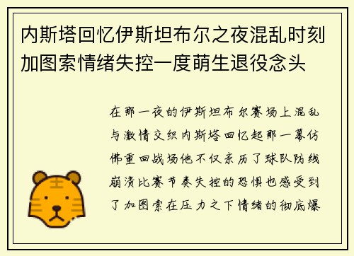 内斯塔回忆伊斯坦布尔之夜混乱时刻加图索情绪失控一度萌生退役念头